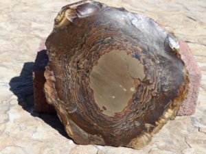 Deschutes Picture Jasper - Northwest Collector Musium